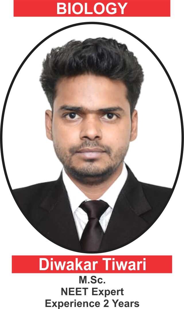team Image
